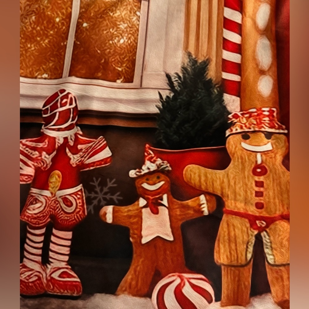 Take your own photo with Gingerbread House/ 7 x 5